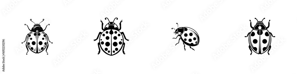 Poster collection of black and white ladybug icons showing different styles and views, isolated insect symb