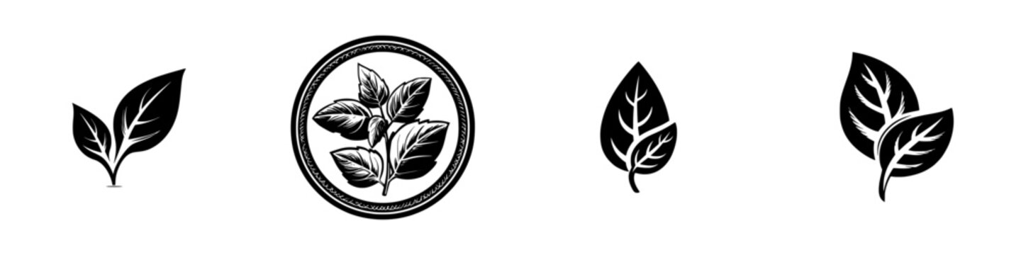 Set of black leaf icons and plant symbols for organic logos and eco-friendly branding isolated on a white background