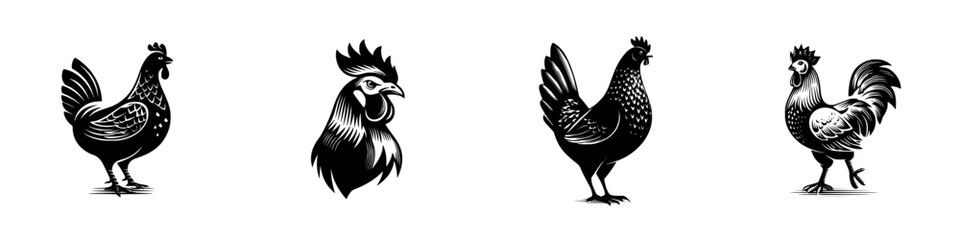 Set of black and white chicken and rooster icons in a graphic woodcut style for farm or poultry logos