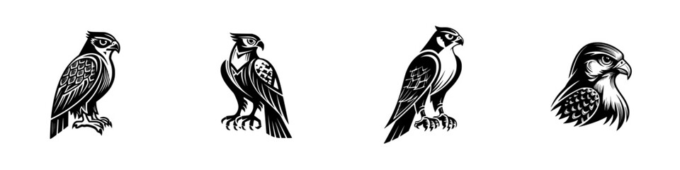 Set of four black and white falcon icons for logos and emblems, stylized graphic bird of prey mascot collection isolated on white