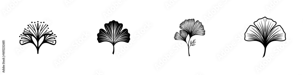 Poster set of ginkgo biloba leaf icons in a minimalist black and white line art style for botanical logos a