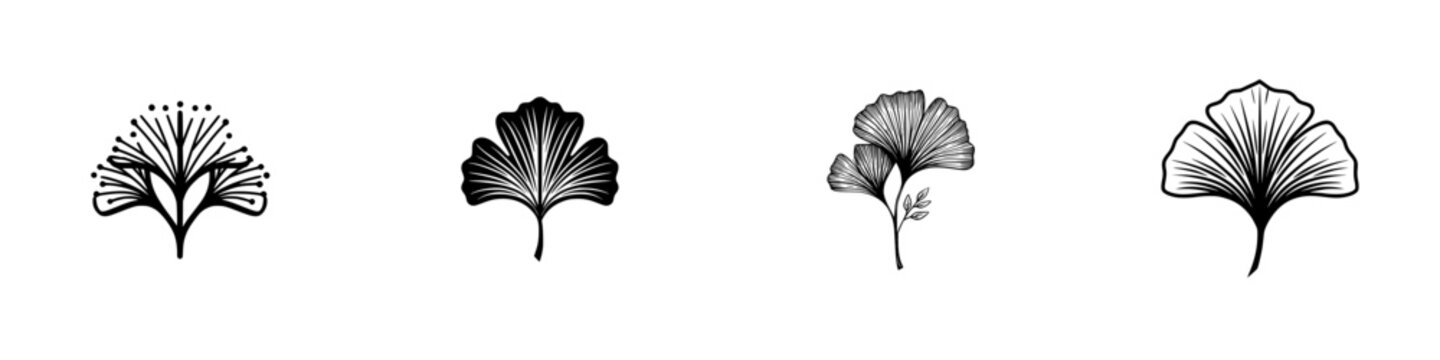Set of Ginkgo biloba leaf icons in a minimalist black and white line art style for botanical logos and elegant design elements isolated on a white background