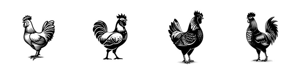 Collection of four black and white rooster icons in a vintage woodcut or engraving style for farm and poultry branding or logos