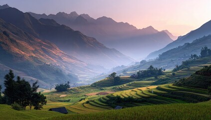 Misty mountain valley with terraced rice paddies at dawn (3)