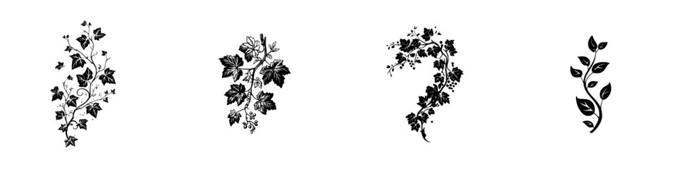 Set of black vine silhouettes for decorative design elements, isolated floral ornaments with leaves and berries © Andrei