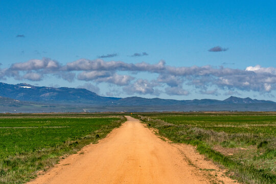 Empty dirt road through Camas Prairie