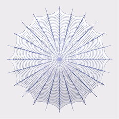 Obraz premium Abstract Circular Spiderweb Design