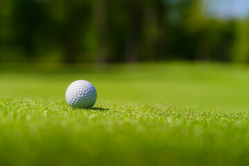 Turf for golf course covering. Golf ball. Sports and hobbies. Sports competitions and active recreation. Individual and team play. Grass as a background.