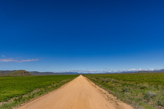 Empty dirt road through Camas Prairie