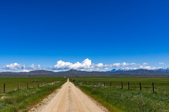 Empty dirt road through Camas Prairie