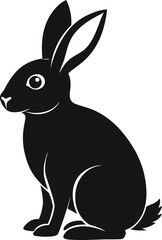 black and white rabbit