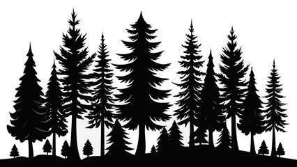 Obraz premium Silhouette of a dense evergreen forest with various pine trees against a white background