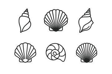 Collection of simple line art seashells: variety of shell designs