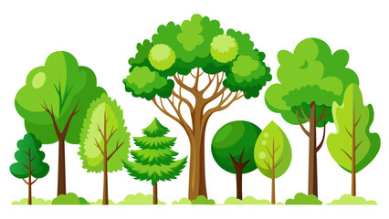 A collection of various green trees with different shapes and sizes against a white background
