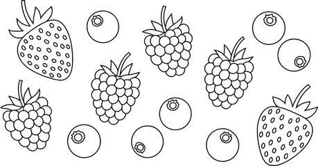 Line art of strawberries raspberries and blueberries fruits
