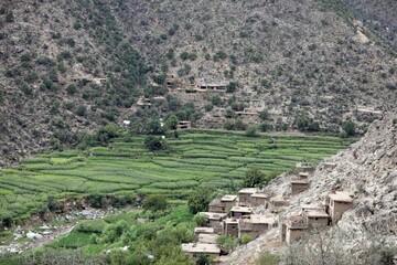 Humanitarian Crisis Following Earthquake in Afghanistan