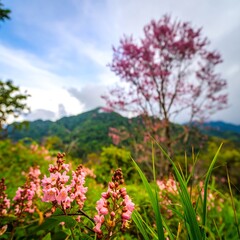 Obraz premium Pink flowers on mountainside