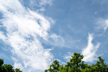 Vibrant blue sky with white clouds and lush green trees below.