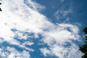 Beautiful blue sky with fluffy white clouds and green foliage in the foreground.