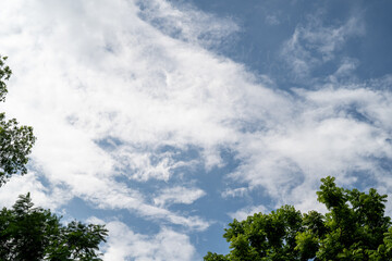 Serene blue sky with fluffy clouds and lush green trees framing the scene.