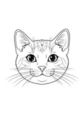 Detailed outline drawing of a domestic cat's face with alert ears and expressive eyes surrounded by whiskers