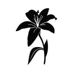 Black lily flower vector illustration floral design element botanical art silhouette clip art graphic design