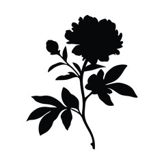 Download beautiful peony flower silhouette vector art for graphic design and decoration needs today