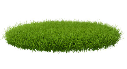 Vibrant green grass patch thrives with fresh growth, perfect for outdoor scenes and natural landscaping projects