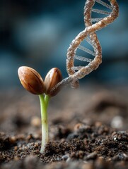 Growth of Life Represented by Seedling and DNA Strand Interaction