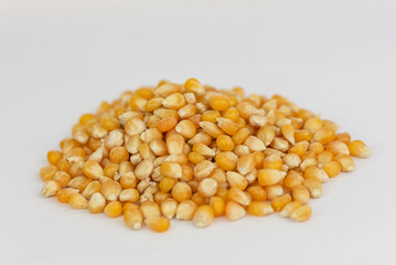 The fresh natural corn seeds 