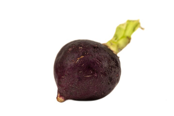 single purple radish isolated on the white background