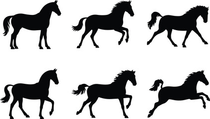 Silhouettes of horses in various poses, equine vector illustration, black animal figures, horse movement collection, walking, trotting, galloping stances
