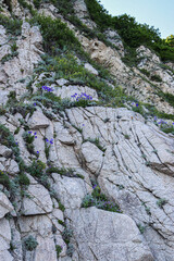 Rocks and capes by the sea. Recreation and tourism by the sea. Primorsky Krai.