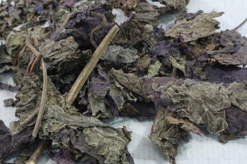 Perilla frutescens, called Soyeop in Korea, is a medicinal leaf used for colds with chills and fever, indigestion, nausea, food poisoning, stress relief, and skin calming.