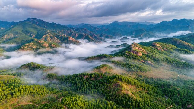 Misty mountain range landscape with lush greenery. - Powered by Adobe