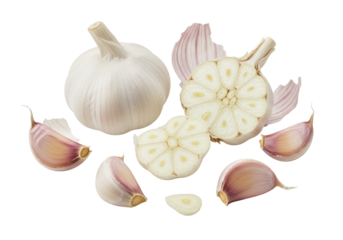 Fresh whole and half-cut garlic bulbs with scattered cloves, showing papery skin, pearly white cloves, and purple striations, on white background, sharp focus, purity and culinary potential concept