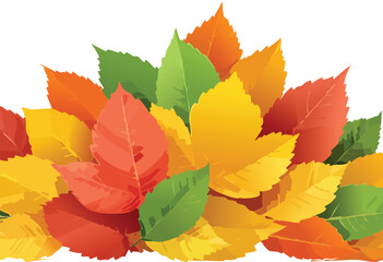 Autumn leaves background