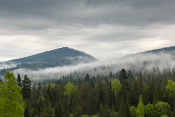 Forested mountain range with rising fog and cloudy sky
