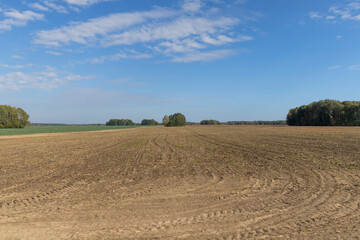 field after harvest in the autumn season, autumn landscape of the field with forest and trees on the horizon
