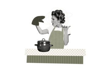 Composite trend artwork 3D sketch image photo collage of young lady pinup hairdo style housewife hand glove talk puppet kitchen cook