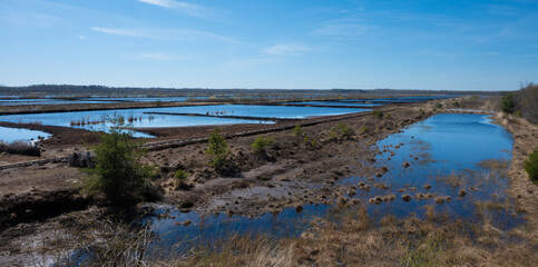 Moor landscape