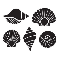 Collection of Detailed Seashell Silhouettes in Black and White Illustration.