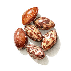EPS painting design, Vector illustration set, My Watercolor illustration, chocolate-covered almonds painting isolated on a white background