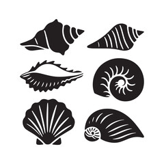 Collection of Detailed Seashell Silhouettes in Black and White Illustration.
