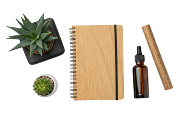 Succulents and notebook isolated on transparent background