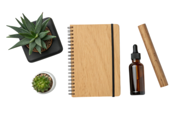 Succulents and notebook isolated on transparent background