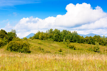 forest and grassy meadows on hills under cloudy autumnal sky. beautiful countryside in fine autumn...