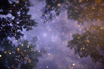 Sparkling Light Particles Falling in a Purple Night Sky