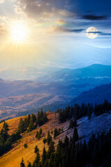 fir trees on a meadow down the hill. day and night time change concept. coniferous forest in...