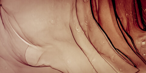 Brown Alcohol Ink Texture. Splashing Paint Can. Golden Alcohol Ink Pattern. Background Marble Paint. Bright Paint Mix. White Color Marble. Lemon Abstraction Oil.